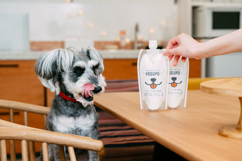 わんこにやさしいヨーグルト YOGUPO