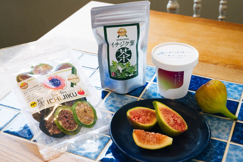 星ICHIJIKU・イチジク葉茶・いちじくヨーグルトと、北栄町産の生のいちじく